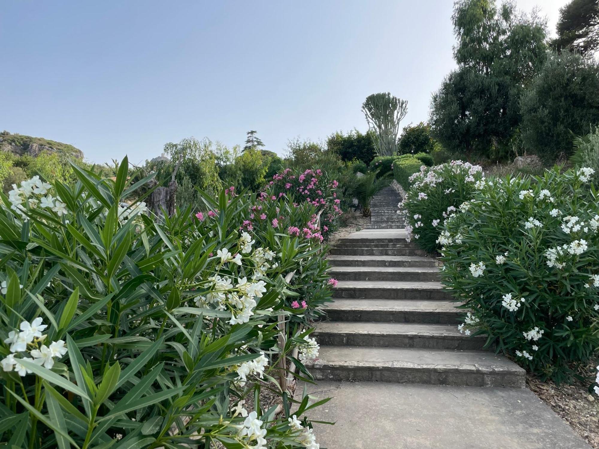 Villa Hibiscus Scopello Scopello  Extérieur photo