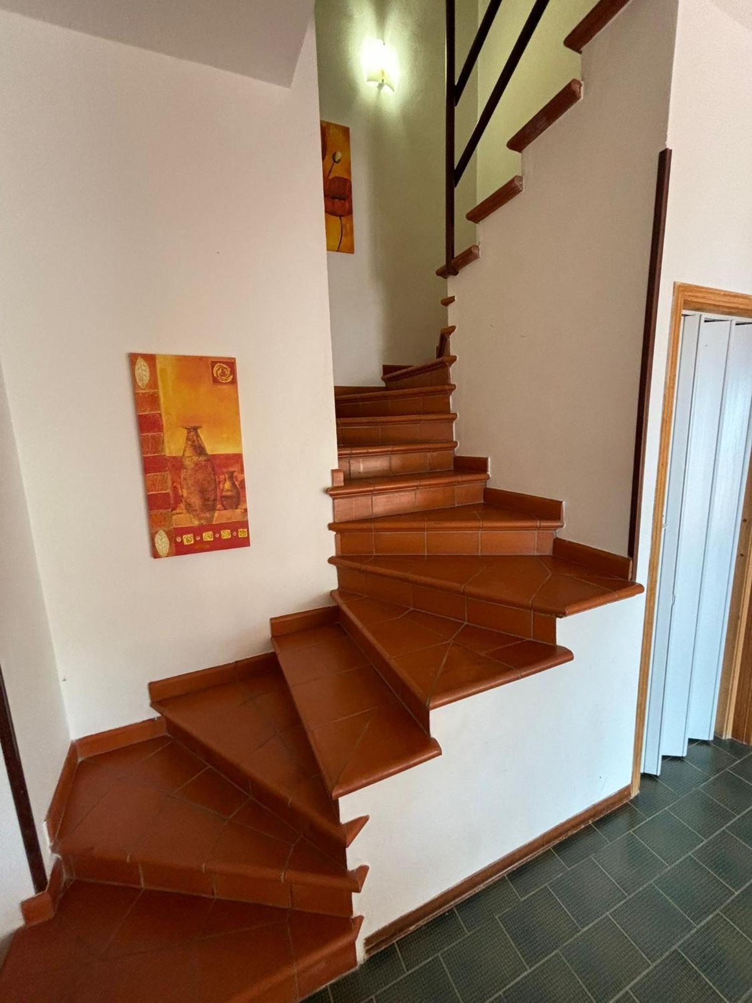 Villa Hibiscus Scopello Scopello  Extérieur photo