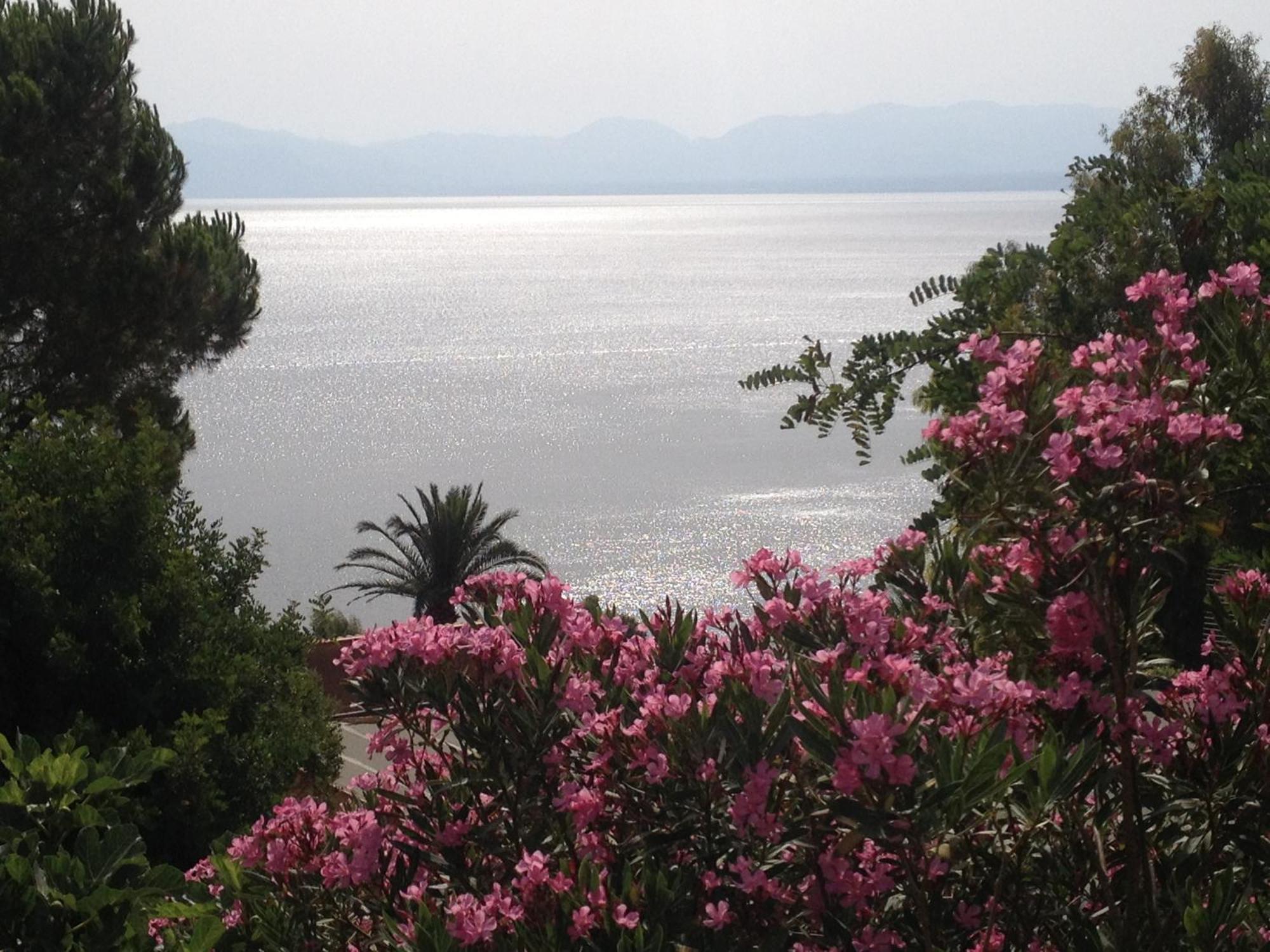 Villa Hibiscus Scopello Scopello  Extérieur photo